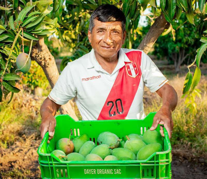 Conexión Directa