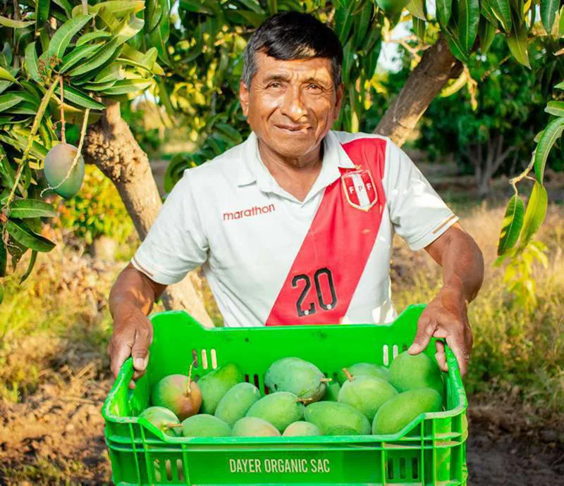 Conexión Directa
