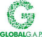 global-logo