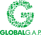 global-logo