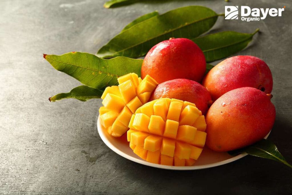Mango